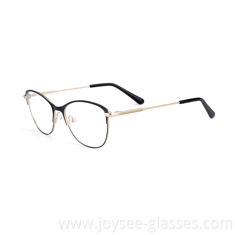 Two Tones Metal Eyeglasses 2